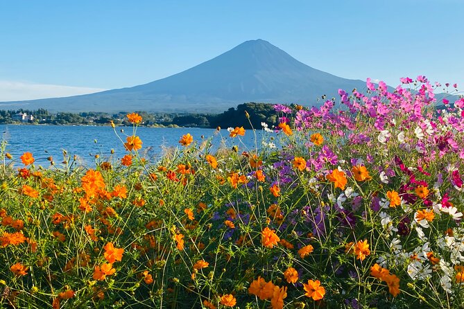 Mt. Fuji Private Sightseeing With Bilingual Chauffeur - Customer Reviews