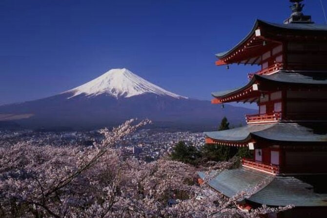 Mt Fuji Private Tour With English Speaking Driver - Customer Support Details