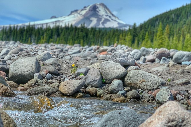 Mt Hood Day Trip From Portland to Multnomah Falls and Hood River - Scenic Views