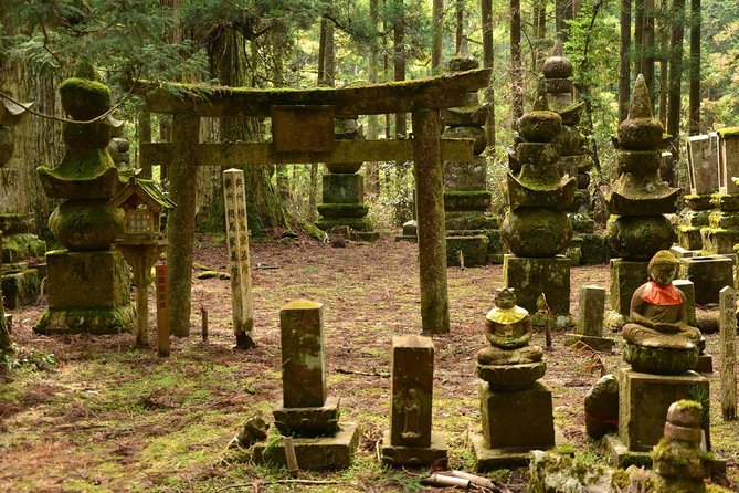 Mt. Koya Sacred Half-Day Private Tour With Government Licensed Guide - Cancellation Policy
