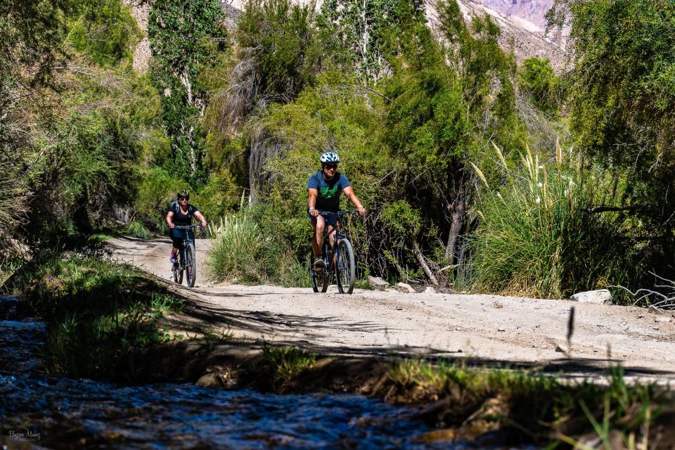 Multi Adventure Cochiguaz: Trekking Plus Downhill Bike. - Inclusions