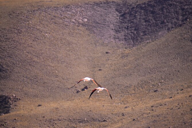 Multi-Day Tour in San Pedro De Atacama With Pickup - Common questions