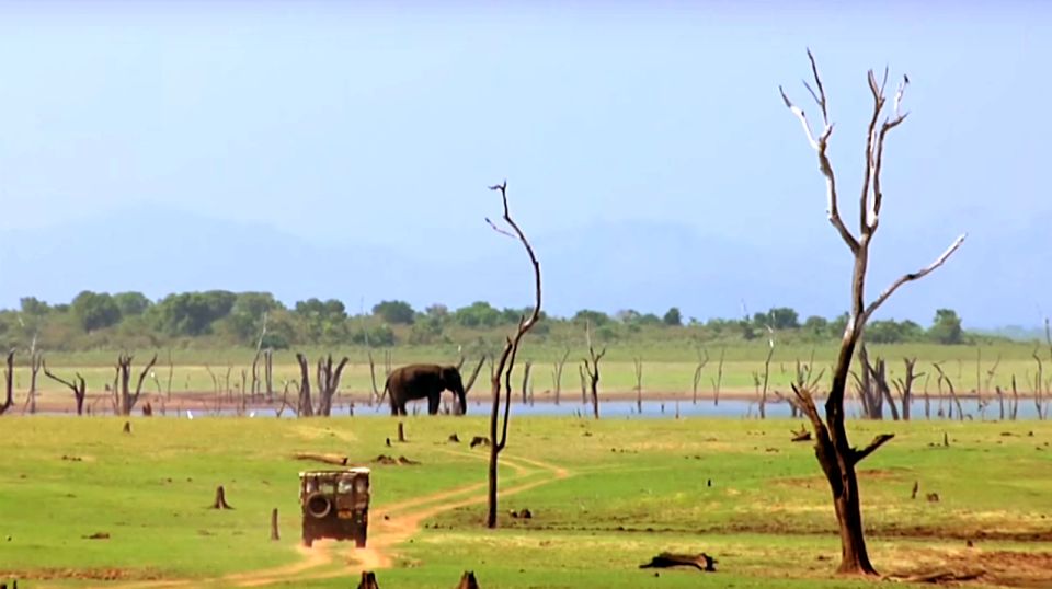 Multi-Day Tour: Udawalawe National Park Elephant Safari - Location Details