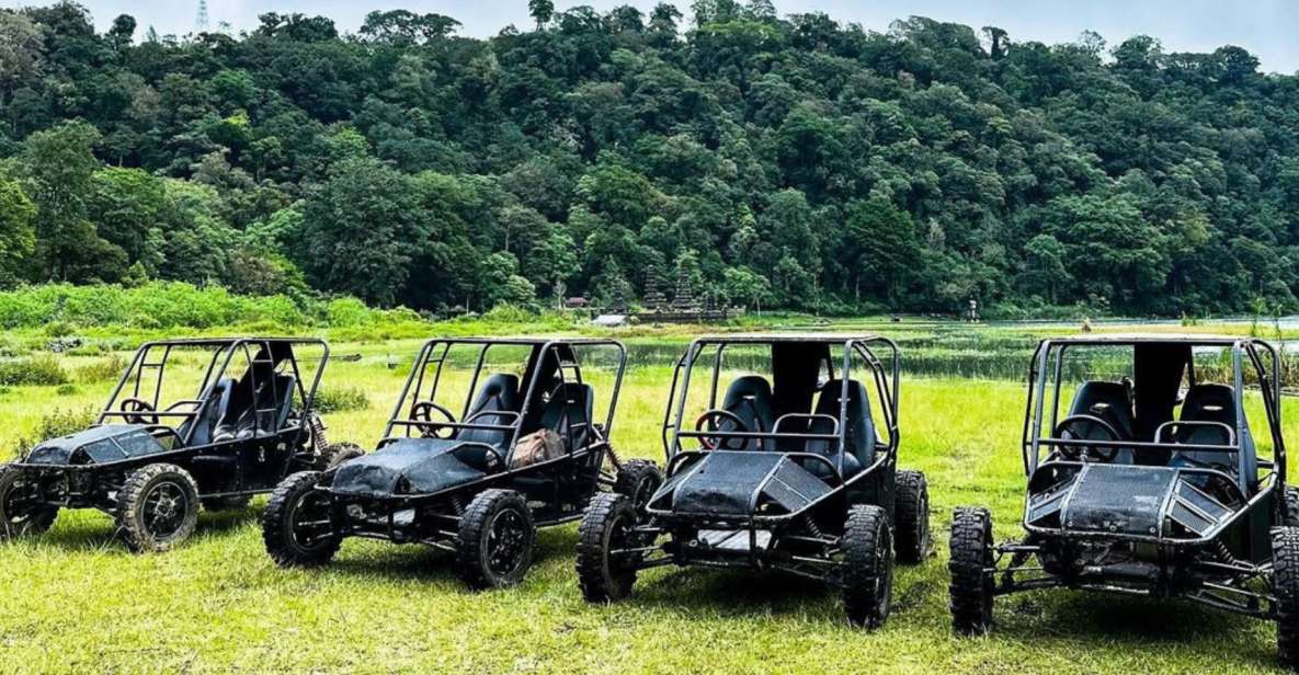 Munduk: Buggy Adventures With Picnic Lunch - Expert Guided Adventure