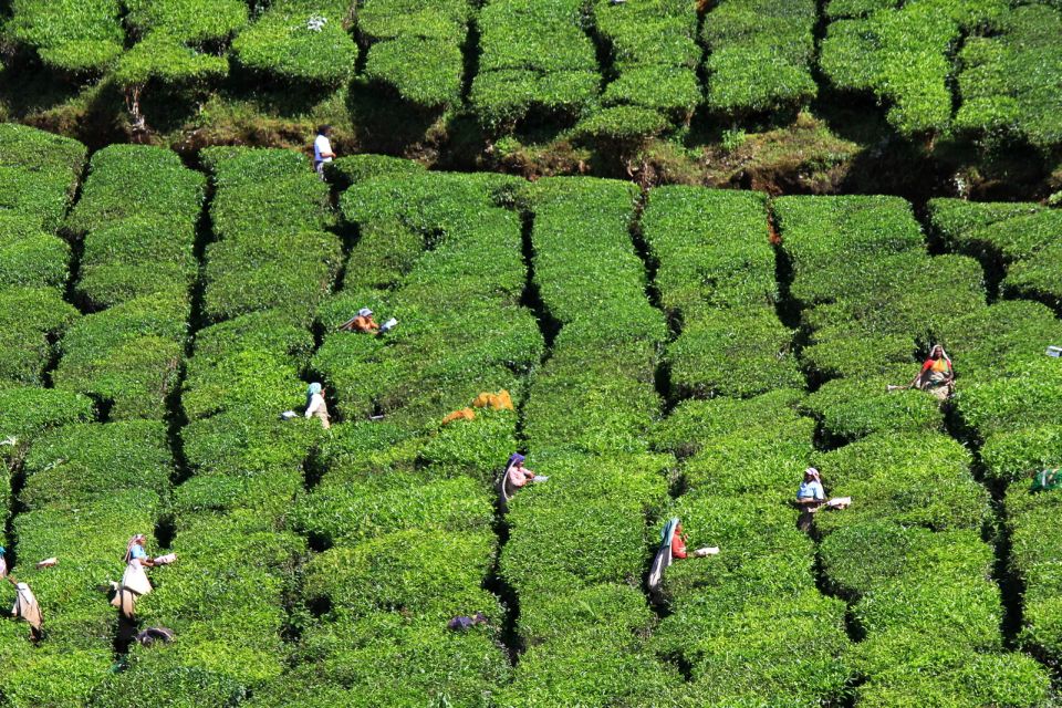 Munnar Private Day Trip - Booking Details