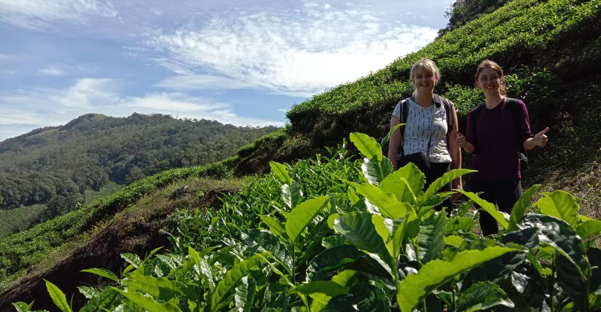 Munnar Tea Trek - Location