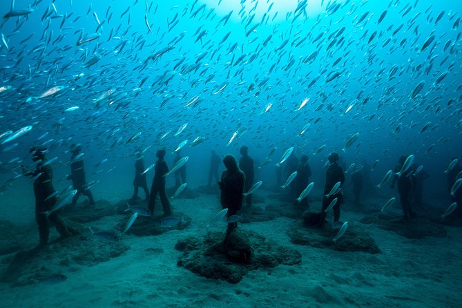 Museo Atlantico for Non-Certified Divers - Dive Details and Pricing