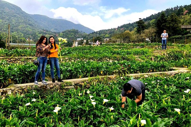 N114 Palace Museum Yangmingshan National Park Tamsui Old Street Taipei Day Tour (10h) - Tamsui Old Street Experience