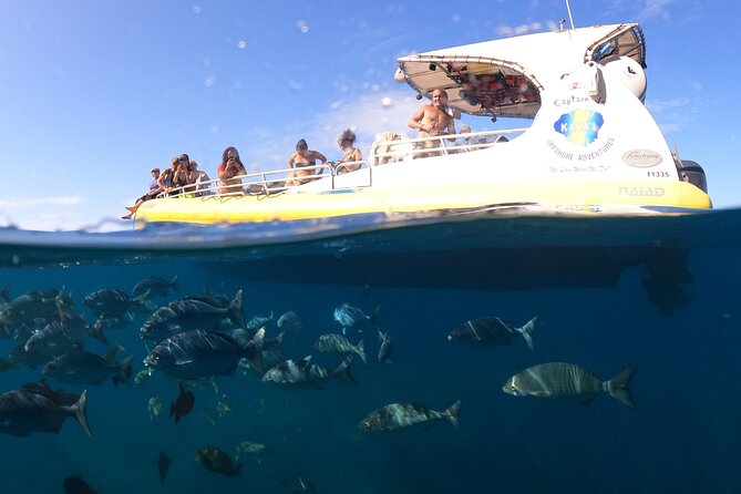 Na Pali Coast Super Raft Adventure - Customer Experiences