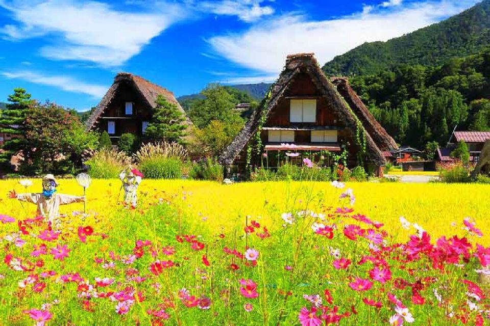 Nagoya: Shirakawa-go Village and Takayama UNESCO 1-Day Trip - Booking Options