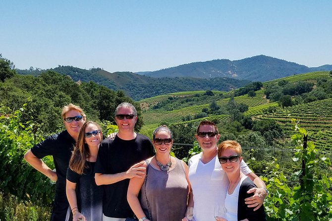 Napa Valleys Best Wine Tour W/ Local Expert - Viator Ownership and Operations