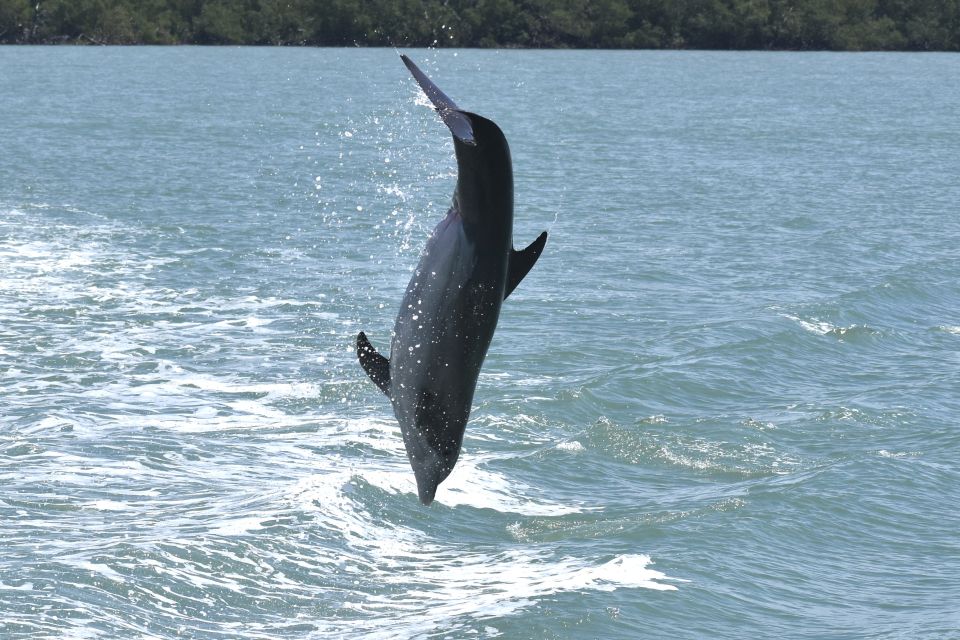 Naples, FL: Manatee, Dolphin, & 10,000 Islands Sunset Cruise - Customer Reviews
