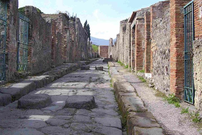 Naples Shore Excursion: Pompeii Half Day Trip From Naples - Reviews Overview and Insights