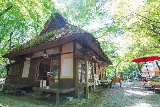 Nara Half Day Trip Walking Tour - What to Bring