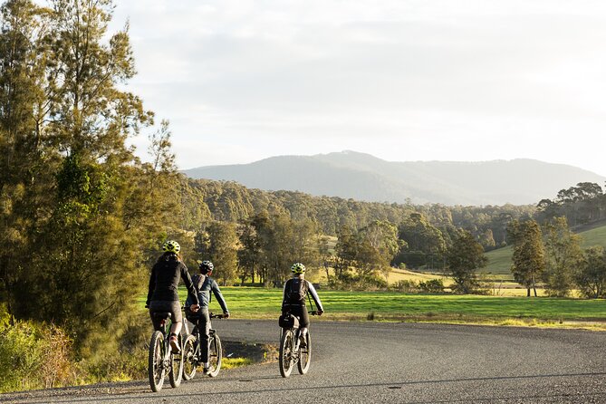 Narooma - E-Bike Hire 2 Hour Rental - Meeting Point and Logistics