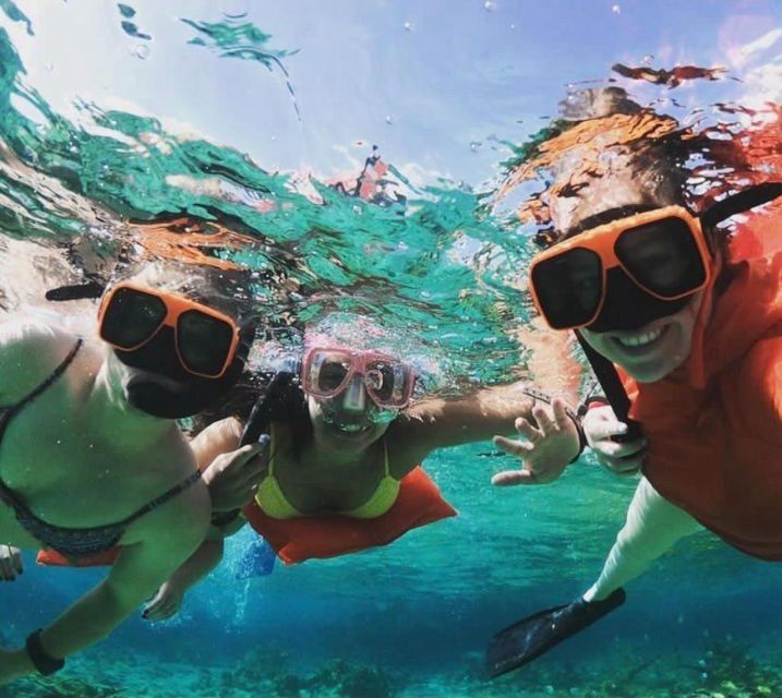 Nassau: Reef Snorkeling, Turtles, Lunch & Private Beach Club - Activity Description
