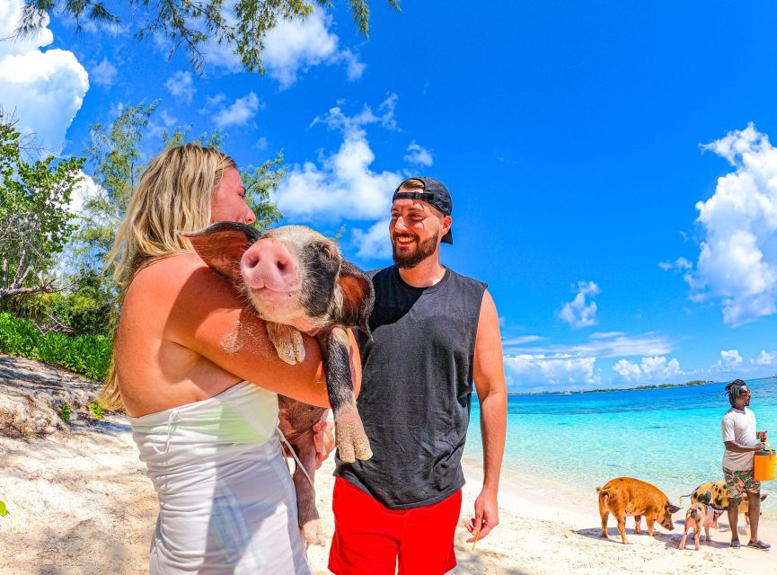Nassau: Sun Cay and Swimming Pigs Boat Trip With Lunch - Experience Highlights