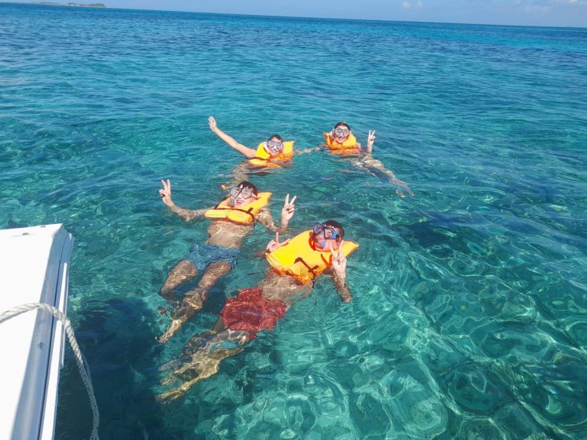 Nassau: Swimming Pigs Private Boat Tour - Up to 7 Persons - Description
