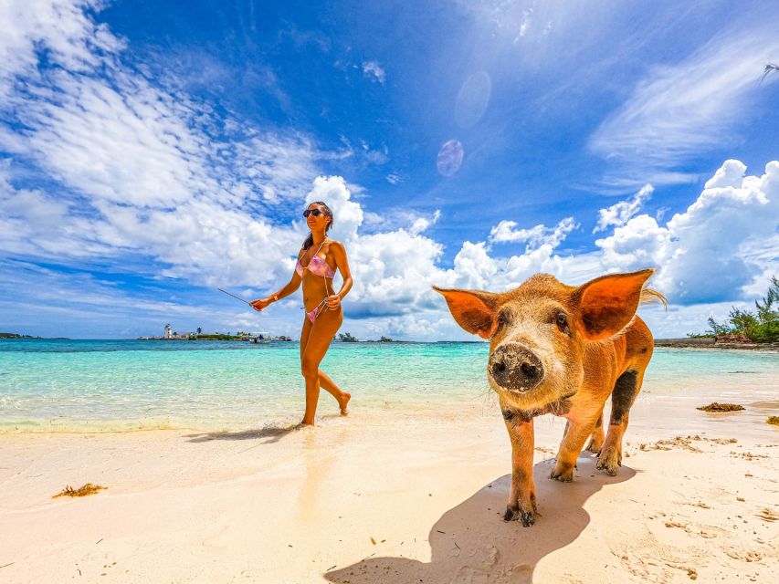 Nassau: Swimming Pigs, Snorkeling and Beach Boat Tour - Customer Reviews