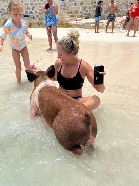 Nassau: Swimming Pigs, Turtle Viewing, Snorkeling, and Lunch - Important Information