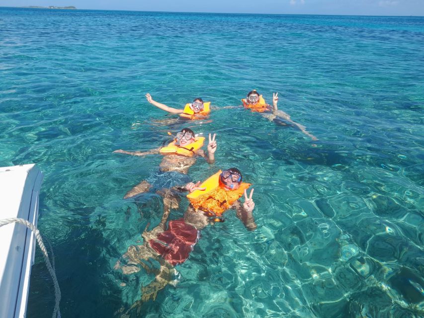 Nassau: Swimming With Pigs, Snorkeling, and Sightseeing Tour - Activity Description