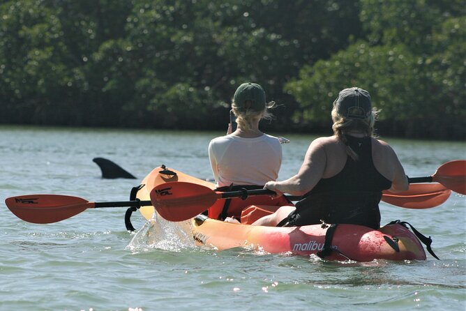 Nauti Exposures - Guided Kayak Tour Through the Mangroves - Reviews and Feedback Summary