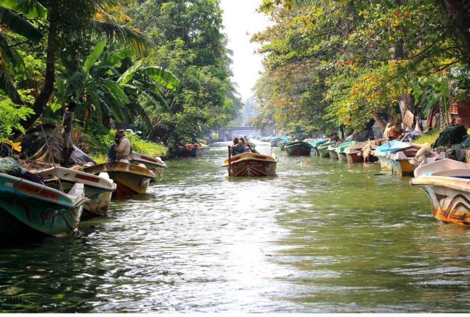 Negombo: Muthurajawela Wetland & Dutch Canal Boat Adventure - Inclusions