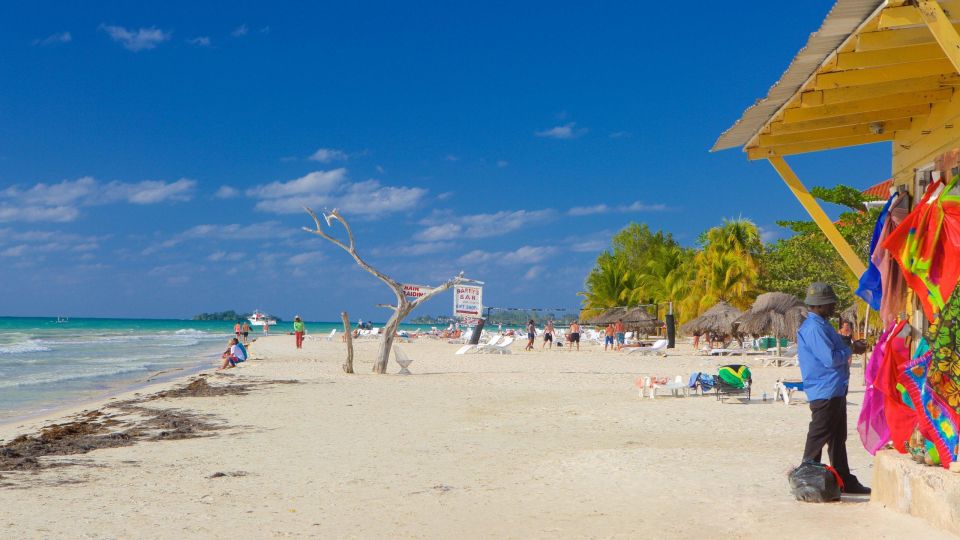 Negril: Private Customizable Beach and City Highlights Tour - Full Description