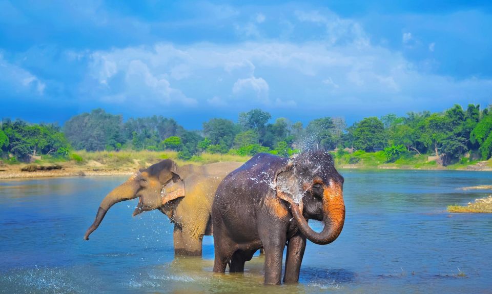 Nepal 6 Places 10 Days Nepal Exclusive Tour - Wildlife Encounters in Chitwan National Park