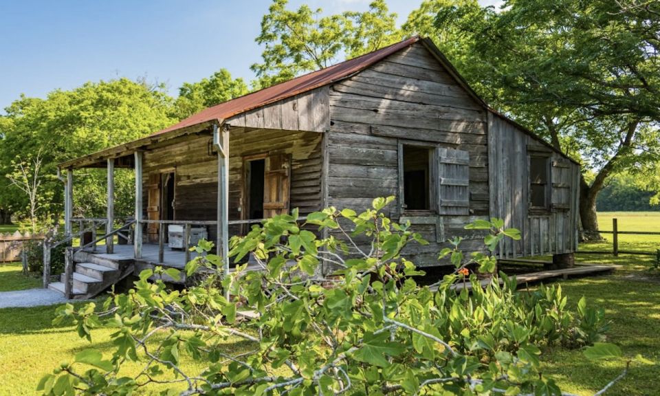 New Orleans: Oak Alley or Laura Plantation & Airboat Tour - Airboat Excursion