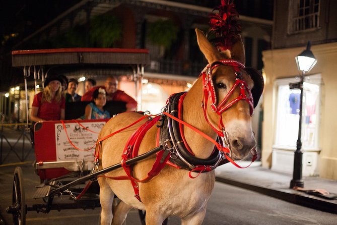 New Orleans Small-Group Haunted History Carriage Tour - Traveler Information and Accessibility