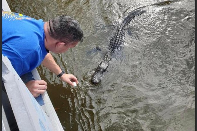 New Orleans Swamp Tour Boat Adventure - Cancellation Policy