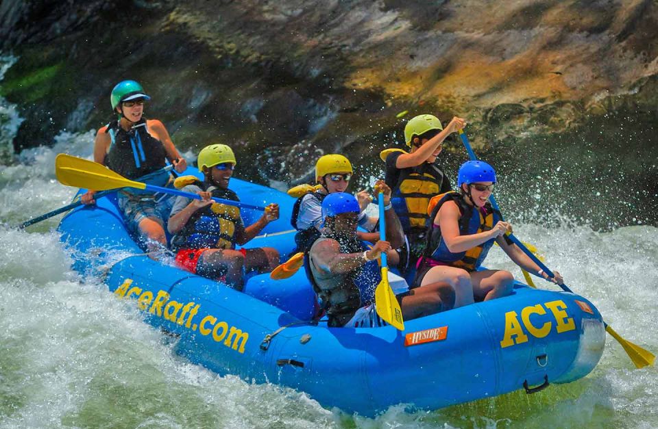 New River Gorge Whitewater Rafting - Lower New Full Day - Meeting Point Details