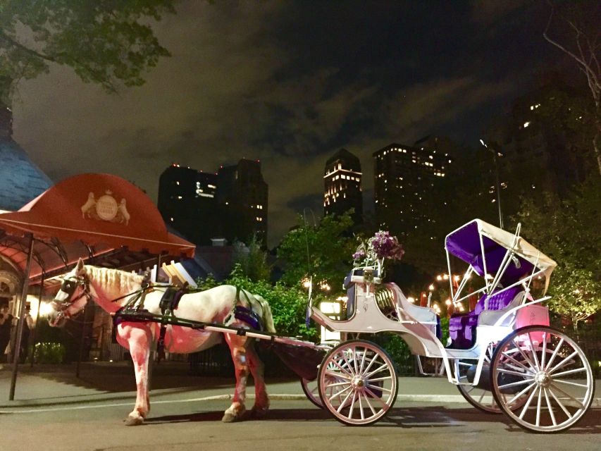 New York: Carriage Ride in Central Park - Participant Selection and Date