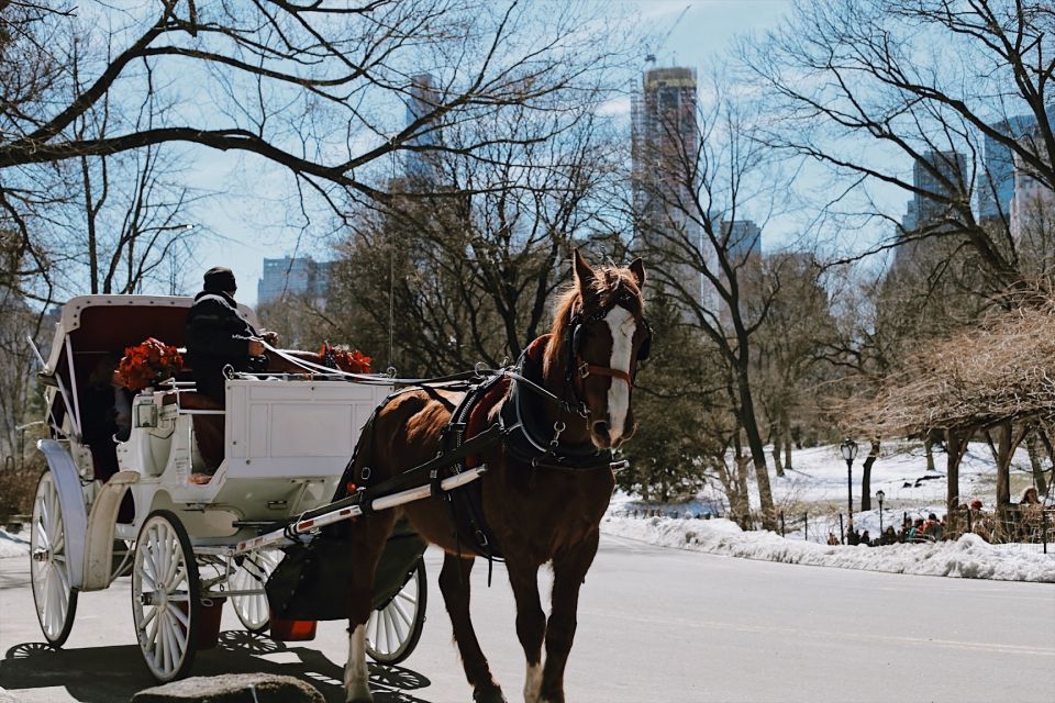 New York: Central Park - Guided Walking Tour - Participant and Date Selection
