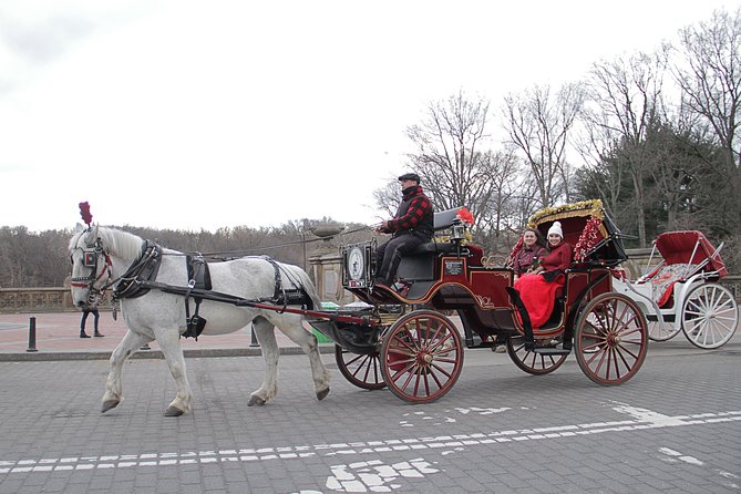 New York City: Central Park Private Horse-and-Carriage Ride (Mar ) - Reviews and Reputation
