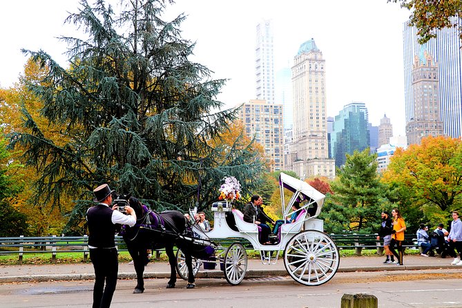 New York City: Central Park Private Horse-and-Carriage Tour (Mar ) - Cancellation Policy