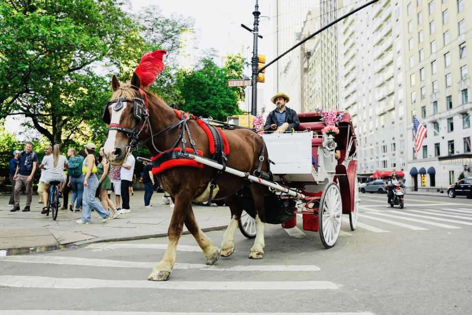 New York City: Central Park Private Horse and Carriage Tour - Full Description