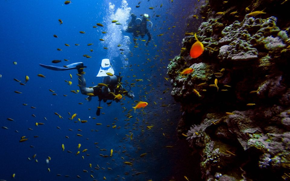 Night Diving in Negombo - Activity Duration and Group Size