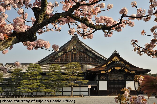 Nijo Castle, Golden Pavilion, Sanjusangen-Do Tour From Osaka (Mar ) - Overall Experience