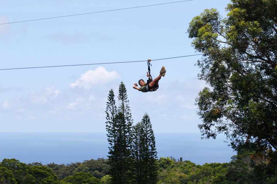 North Maui: 7 Line Zipline Adventure With Ocean Views - Important Information