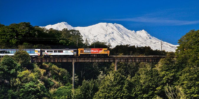 Northern Explorer Train Journey From Auckland to Wellington - Traveler Amenities and Views