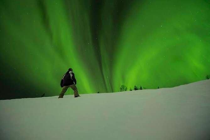 Northern Light Safari in Mo I Rana - Photography Tips for Northern Lights