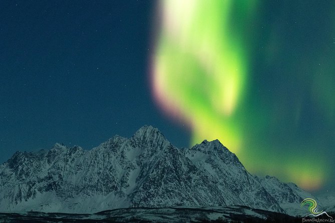 Northern Lights by Minibus. Photos Under the Lights Included. Tromso - Customer Reviews