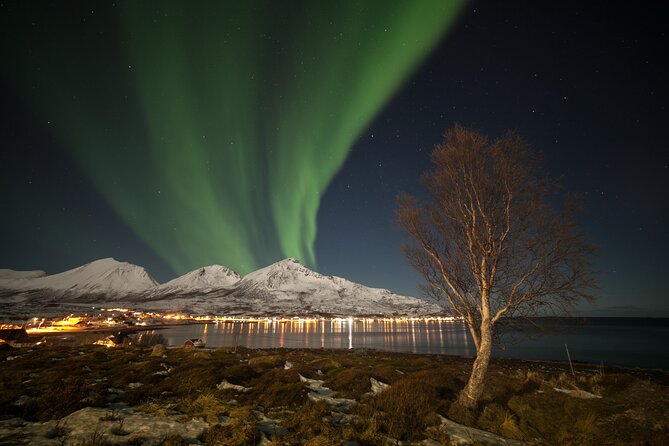 Northern Lights Chase by Bus in Tromso - Common questions
