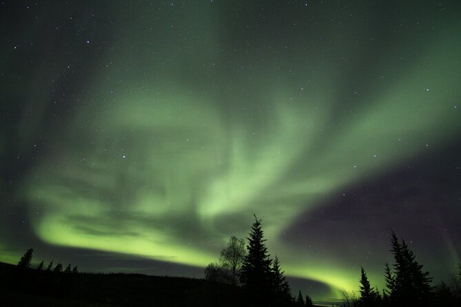 Northern Lights Murphy Dome Viewing in Fairbanks - Additional Information