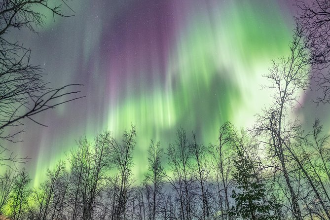 Northern Lights Private Tour With Your Special Ones - Greenlander - Luxury Accommodations for Cozy Retreats