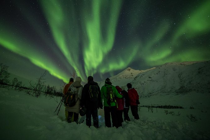 Northern Lights Tour From Tromsø - Customer Testimonials