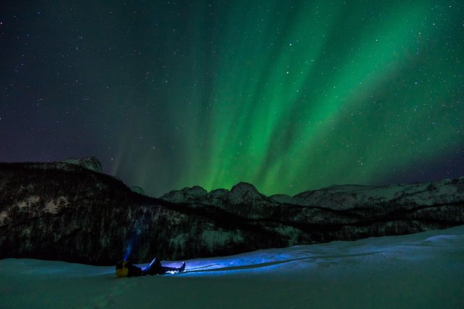 Northern Lights Tour With Alta Adventure - Small Group Experience Highlights