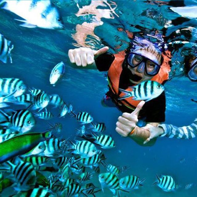 Nusa Penida: Unforgettable Snorkeling Adventure With 4 Spots - Discovering Gamat Bays Coral Gardens
